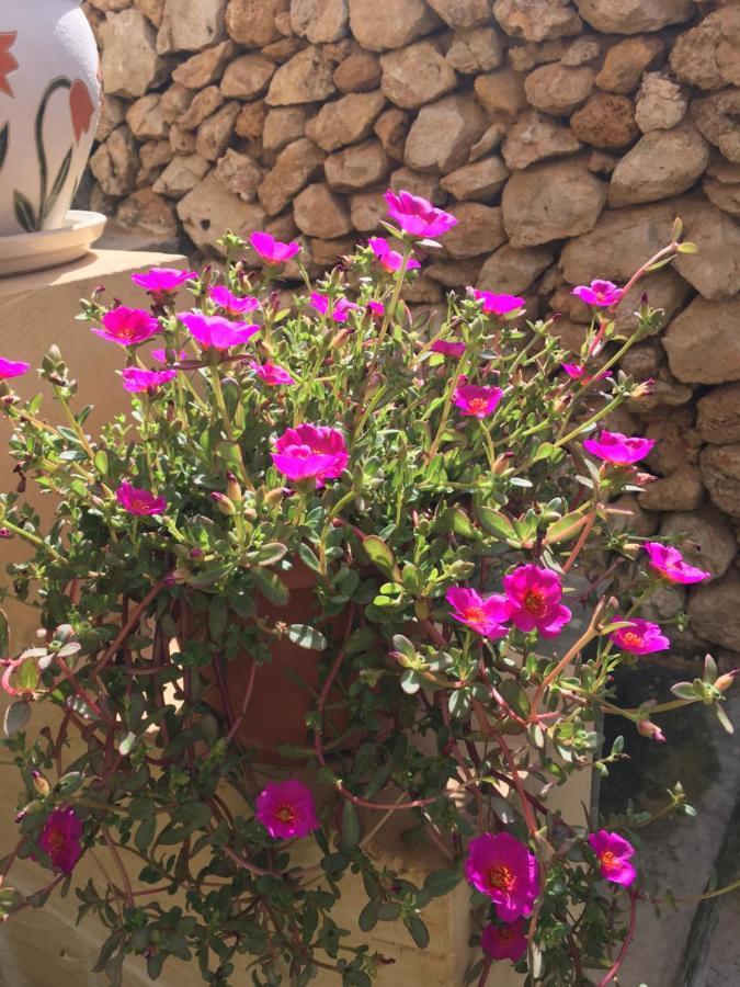 Botanica B&B Xagħra Exteriör bild