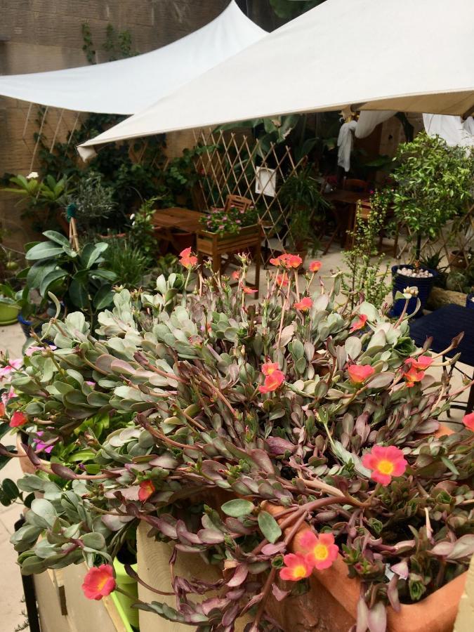 Botanica B&B Xagħra Exteriör bild