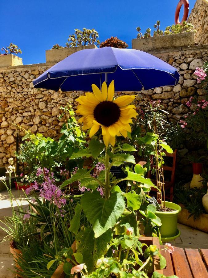 Botanica B&B Xagħra Exteriör bild